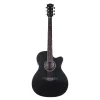 HAZE F-560CEQMBK Siyah Elektro Akustik Gitar