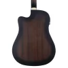 HAZE F-650/DVS CEQ Elektro Akustik Gitar
