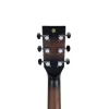 HAZE F-650/DVS CEQ Elektro Akustik Gitar