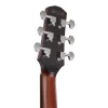 Ibanez AAD440CE-LGS Advanced Acoustic Serisi Elektro Akustik Gitar