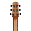 Ibanez AAD50CE-TCB AAD Serisi Elektro Akustik Gitar