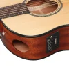 IBANEZ AAM100E-NT Elektro Akustik Gitar