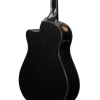 Ibanez AAM340CE-RUB Elektro Akustik Gitar