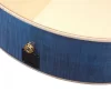 Ibanez AE390-NTA Elektro Akustik Gitar