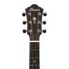 Ibanez AEG200-LGS AEG Serisi Elektro Akustik Gitar