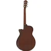 IBANEZ AEG50-DHH Elektro Akustik Gitar