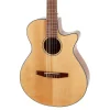 IBANEZ AEG50N-NT Elektro Klasik Gitar