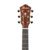 Ibanez AEG74-MHS Elektro Akustik Gitar
