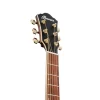 Ibanez AEWC12-PMF Elektro Akustik Gitar
