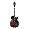 IBANEZ AG95QA-DBS AG Elektro Gitar