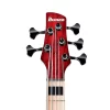 Ibanez ANB205-TWB Adam Nitti Signature Serisi 5 Telli Bas Gitar