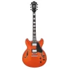 Ibanez AS73-TTF Elektro Gitar