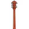 Ibanez AS73-TTF Elektro Gitar