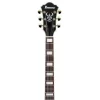 Ibanez AS73G-MSF Elektro Gitar