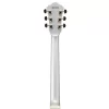 Ibanez AS73G-MSF Elektro Gitar