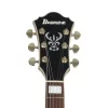 IBANEZ AS73G-RGF Elektro Gitar