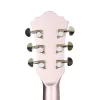 IBANEZ AS73G-RGF Elektro Gitar