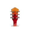 IBANEZ ASV73-VAL / AS Elektro Gitar