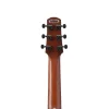 Ibanez AUP10N-OLB Klasik Gitar