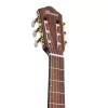 Ibanez FRH10N-RGF Thinline Elektro Klasik Gitar