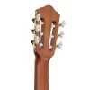Ibanez FRH10N-RGF Thinline Elektro Klasik Gitar