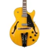 IBANEZ GB10EM-AA Signature Serisi Elektro Gitar