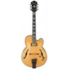 IBANEZ Pat Metheny PM200 NT Elektro Gitar Case Dahi