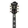 Ibanez PM3C-NAL Pat Metheny Signature Natürel Hollow Body Elektro Gitar