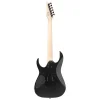 Ibanez RG420EX-BKF Elektro Gitar