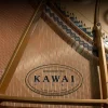 KAWAI GL-20 M/PEP Parlak Siyah 157 CM Kuyruklu Piyano
