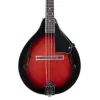Kozmos KMA-001-RDS Mandolin