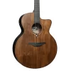 LAG GLA SAUVAGE-JCE Jumbo Elektro Akustik Gitar
