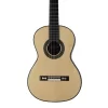 MARTINEZ Torres 1859 Case Dahil Klasik Gitar