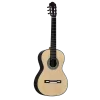 MARTINEZ Torres 1859 Case Dahil Klasik Gitar