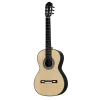 MARTINEZ Torres 1859 Case Dahil Klasik Gitar
