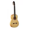 MARTINEZ TORRES Klasik Gitar