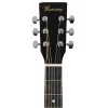 Mercury MSEA1-BK Elektro Akustik Gitar