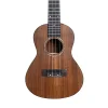 Mercury UK-C1 Concert Ukulele Kılıflı