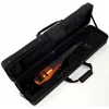 NS DESIGN WAV5-VN-AB Polar Piezo Manyetikli Transparan Amberburst Elektro Keman