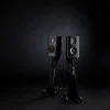 Raidho TD1.2 Raf Tipi Hoparlör
