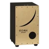 ROLAND EC-10 - El Cajon Elektronik Cajon