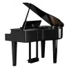 ROLAND GP-6-PE Parlak Siyah Kuyruklu Dijital Piyano