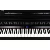 ROLAND GP-9-PE Parlak Siyah Kuyruklu Dijital Piyano