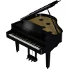 ROLAND GP-9M-PE Parlak Siyah Kuyruklu Dijital Piyano