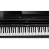ROLAND HP704-CH Mat Siyah Dijital Piyano (Tabure& Kulaklık Hediyeli)