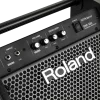 ROLAND PM-100 - 80 Watt Davul Monitörü