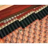 SCHIMMEL K 195 Tradition Parlak Siyah 195 CM Kuyruklu Piyano