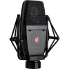 sE Electronics sE4100(P) Geniş Diyaframlı Condenser Mikrofon (Çift)