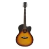 Sire Larry Carlton A3GS Elektro Akustik Gitar Kılıflı