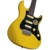 Sire Larry Carlton S7 HSS Elektro Gitar (S7HSSMGO) NG-R